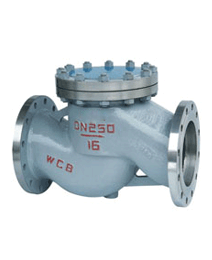 升降(jiang)式止(zhi)回閥(fa)