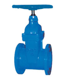 彈性座(zuo)封閘閥(fa)